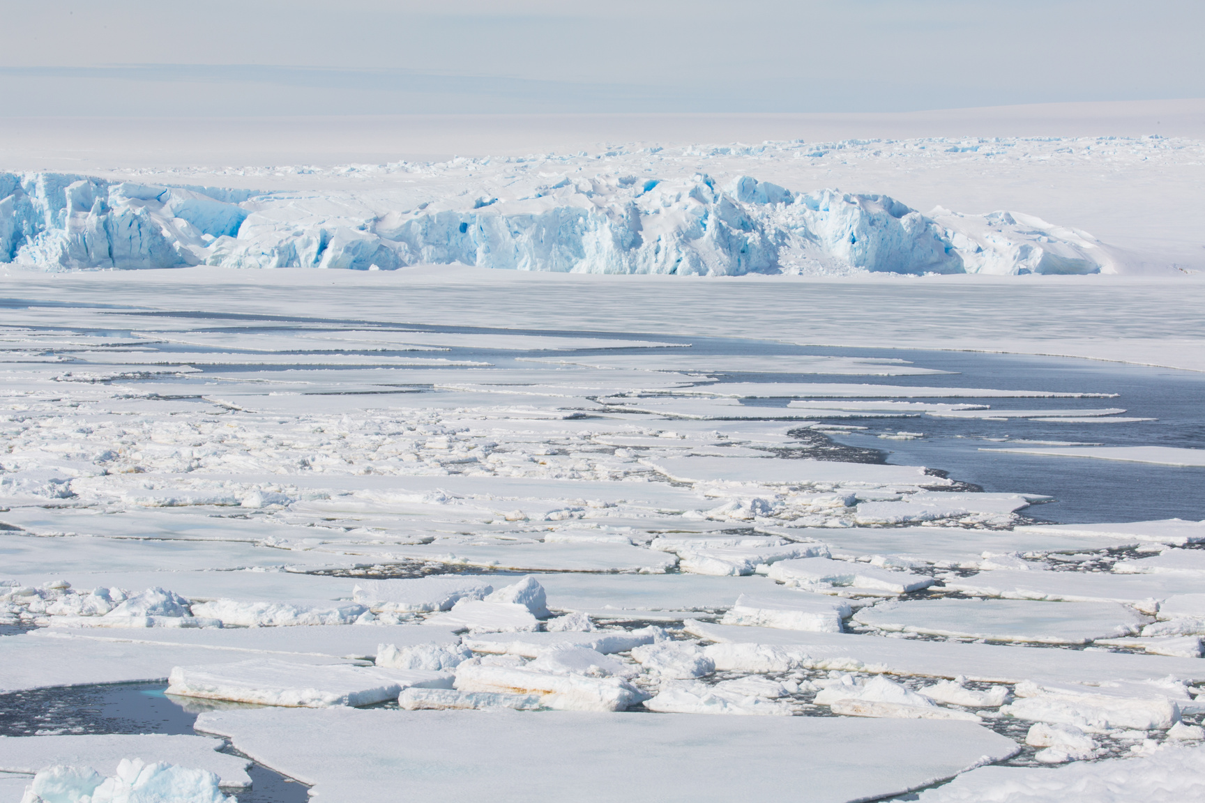 Ice Bergs in Snow Covered Sea