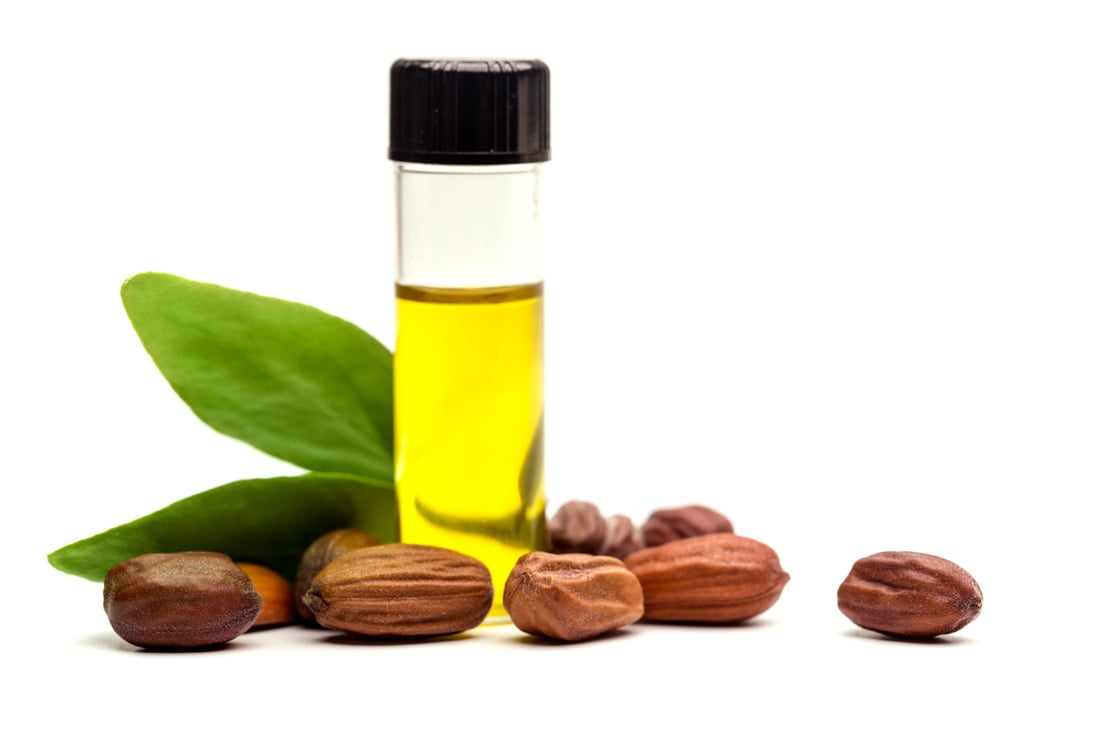 Jojoba oil and seeds